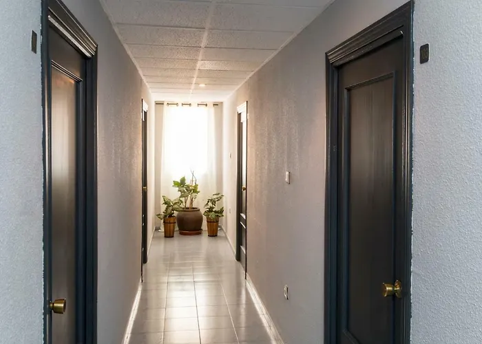 Hotel Oyo Alamos Plasencia